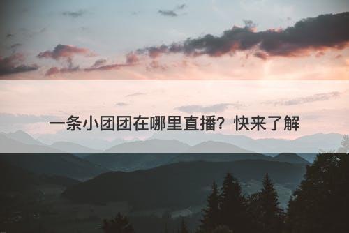 一条小团团在哪里直播？快来了解