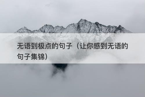 无语到极点的句子（让你感到无语的句子集锦）
