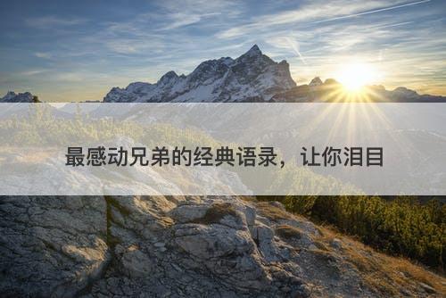 最感动兄弟的经典语录，让你泪目