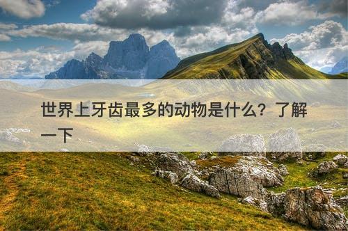 世界上牙齿最多的动物是什么？了解一下