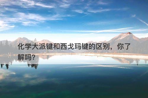 化学大派键和西戈玛键的区别，你了解吗？