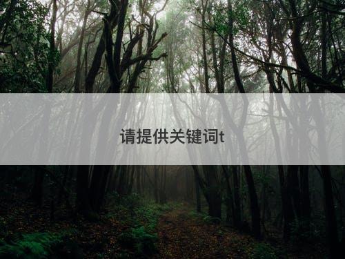 请提供关键词t