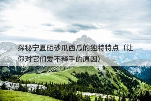 探秘宁夏硒砂瓜西瓜的独特特点（让你对它们爱不释手的原因）