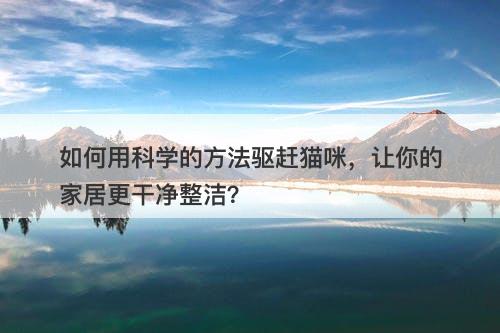 如何用科学的方法驱赶猫咪，让你的家居更干净整洁？