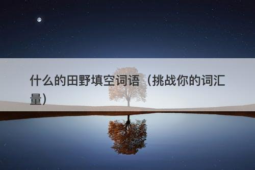 什么的田野填空词语（挑战你的词汇量）