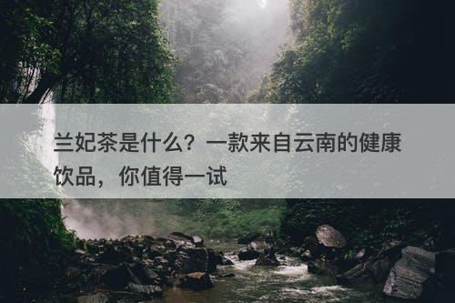 兰妃茶是什么？一款来自云南的健康饮品，你值得一试