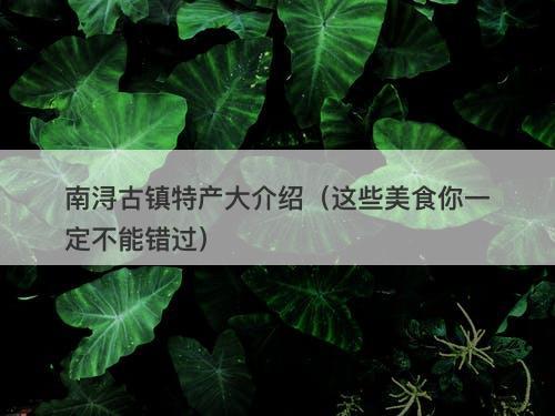 南浔古镇特产大介绍（这些美食你一定不能错过）