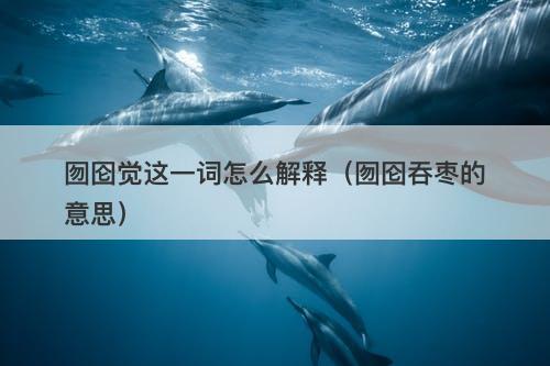 囫囵觉这一词怎么解释（囫囵吞枣的意思）