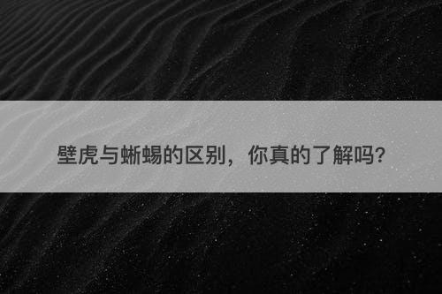 壁虎与蜥蜴的区别，你真的了解吗？