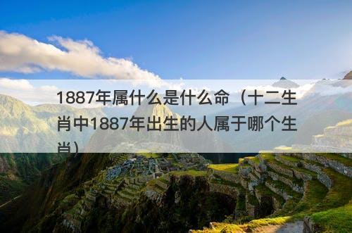 1887年属什么是什么命（十二生肖中1887年出生的人属于哪个生肖）