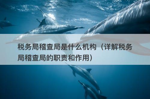 税务局稽查局是什么机构（详解税务局稽查局的职责和作用）