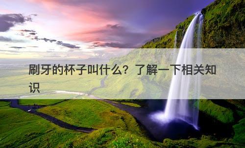 刷牙的杯子叫什么？了解一下相关知识