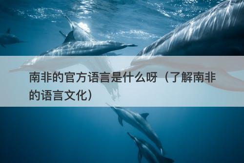 南非的官方语言是什么呀（了解南非的语言文化）
