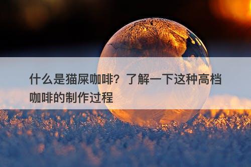什么是猫屎咖啡？了解一下这种高档咖啡的制作过程