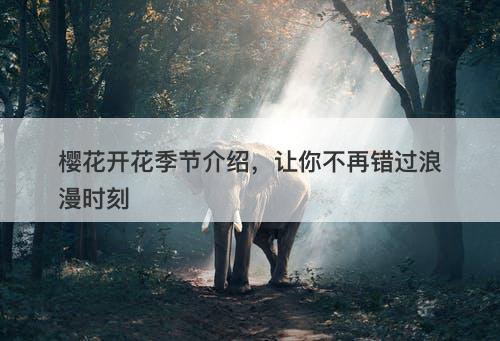 樱花开花季节介绍，让你不再错过浪漫时刻