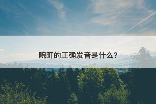 畹町的正确发音是什么？