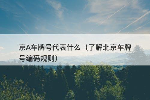 京A车牌号代表什么（了解北京车牌号编码规则）