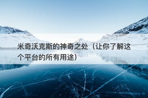 米奇沃克斯的神奇之处（让你了解这个平台的所有用途）