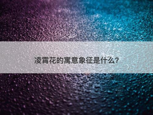 凌霄花的寓意象征是什么？