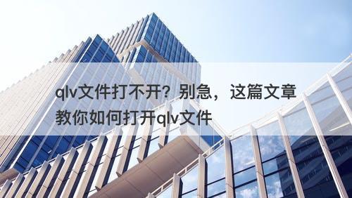 qlv文件打不开？别急，这篇文章教你如何打开qlv文件