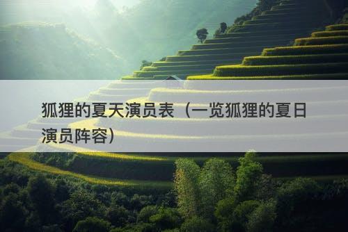 狐狸的夏天演员表（一览狐狸的夏日演员阵容）