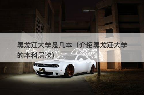 黑龙江大学是几本（介绍黑龙江大学的本科层次）