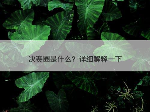 决赛圈是什么？详细解释一下