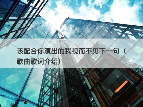 该配合你演出的我视而不见下一句（歌曲歌词介绍）