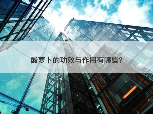 酸萝卜的功效与作用有哪些？