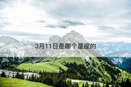 3月11日是哪个星座的