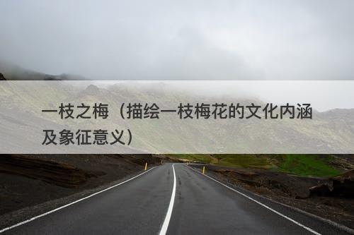 一枝之梅（描绘一枝梅花的文化内涵及象征意义）