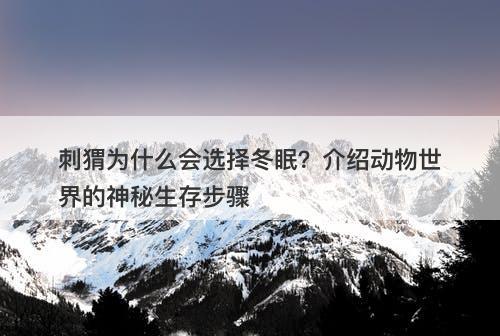 刺猬为什么会选择冬眠？介绍动物世界的神秘生存步骤