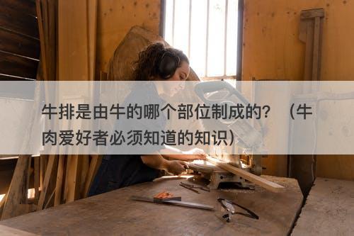 牛排是由牛的哪个部位制成的？（牛肉爱好者必须知道的知识）