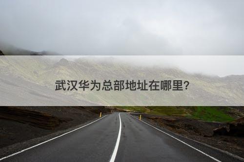 武汉华为总部地址在哪里？-图1