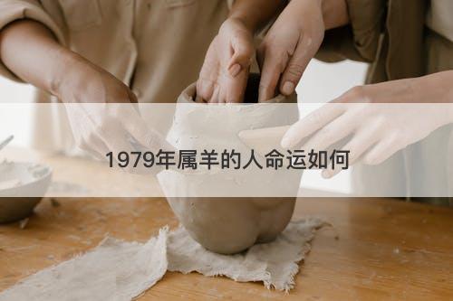 1979年属羊的人命运如何