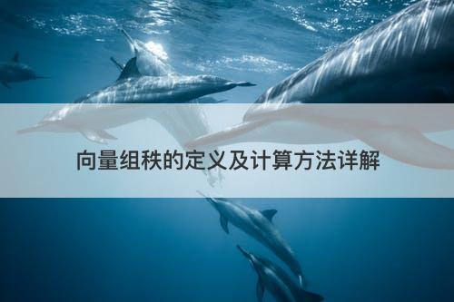向量组秩的定义及计算方法详解