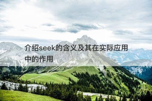 介绍seek的含义及其在实际应用中的作用-图1