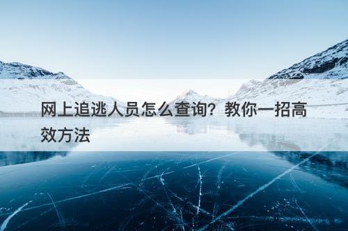 网上追逃人员怎么查询？教你一招高效方法
