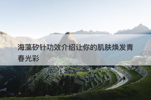 海藻矽针功效介绍让你的肌肤焕发青春光彩-图1