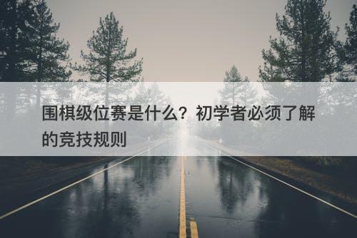 围棋级位赛是什么？初学者必须了解的竞技规则-图1