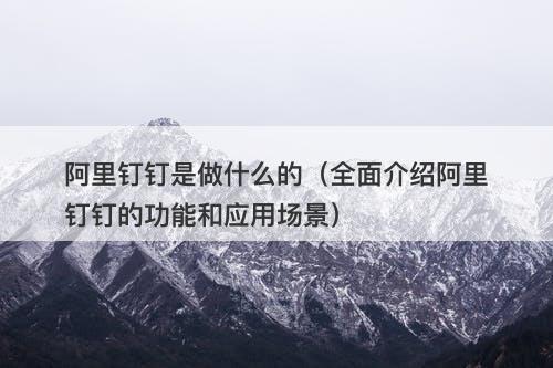 阿里钉钉是做什么的（全面介绍阿里钉钉的功能和应用场景）