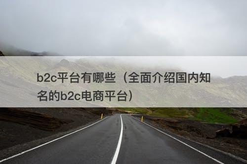 b2c平台有哪些（全面介绍国内知名的b2c电商平台）-图1