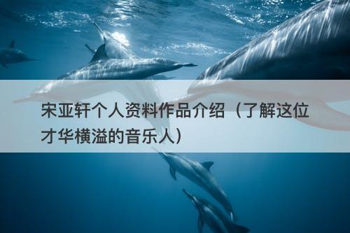 宋亚轩个人资料作品介绍（了解这位才华横溢的音乐人）-图1