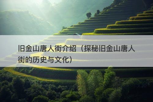 旧金山唐人街介绍（探秘旧金山唐人街的历史与文化）-图1