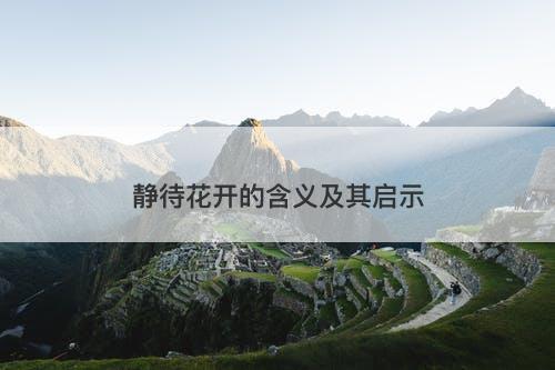 静待花开的含义及其启示