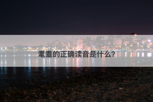 耄耋的正确读音是什么？