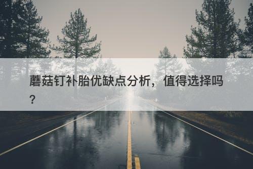 蘑菇钉补胎优缺点分析，值得选择吗？-图1