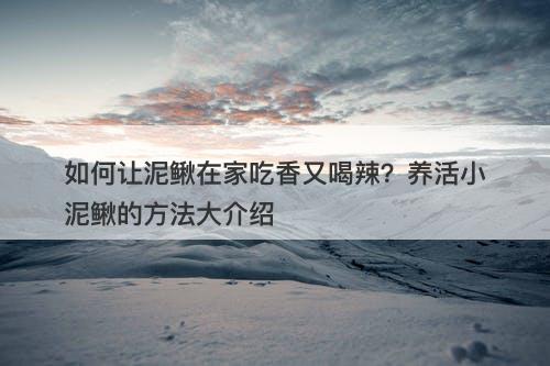 如何让泥鳅在家吃香又喝辣？养活小泥鳅的方法大介绍-图1