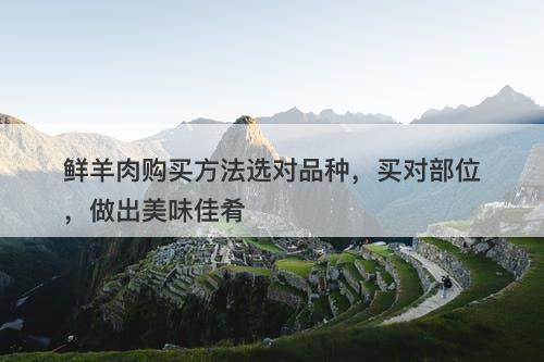 鲜羊肉购买方法选对品种，买对部位，做出美味佳肴-图1