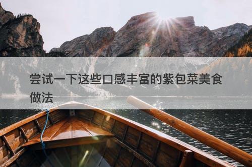 尝试一下这些口感丰富的紫包菜美食做法